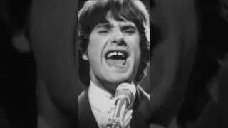 Thumbnail: ⭐Honouree Spotlight⭐The Kinks are often credited with laying the groundwork for punk and britpop.