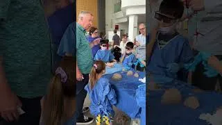 Thumbnail: Be a Brain Explorer at Cardiff University!
