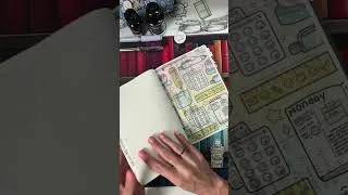 Thumbnail: Sterling Ink Common Planner || January 2025 Flip Through