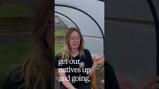Thumbnail: Why Native Flowers Are the Smart Long Term Play