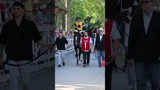 Thumbnail: Counting Stars - 2026 Coaching Club American Oaks
