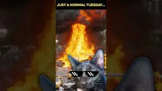 Thumbnail: Somebody Had It Comin' 😐