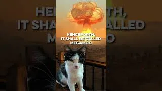 Thumbnail: So Apparently My Cat Has Access to Nukes Now