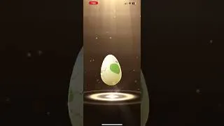 Thumbnail: Pokémon go the best egg hatching haul