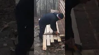 Thumbnail: Bushcraft skills #bushcraft #survival #camping #forest #shorts Part 7