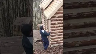 Thumbnail: Bushcraft skills #bushcraft #survival #camping #forest #shorts Part 5