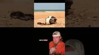 Thumbnail: This story is crazy! #horror #scary #ad #sponsoredpost
