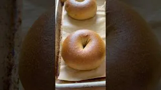 Thumbnail: Surprising sourdough #bagel