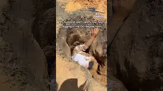Thumbnail: Family Rescue Baby Goat From Deep Burrow and Reunite It With Its Mother