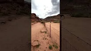 Thumbnail: Grafton Historic Cemetery - Springdale, UT (Near Zion National Park)
