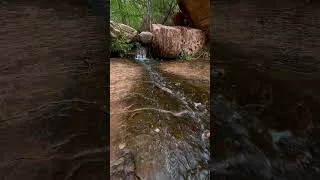 Thumbnail: Emerald Pools Trail - Zion National Park ￼- April 6, 2026