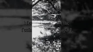 Thumbnail: DISTURBED - PART OF ME / LYRICS