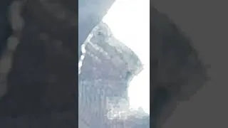 Thumbnail: I dunno lizard footage got all gamma-ed