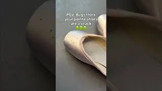 Thumbnail: Bugs ate my pointe shoes! 🪳 #pointeshoes #ballet #gross