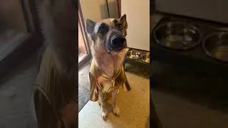 Thumbnail: Silk’s official announcement regarding her Mommy!