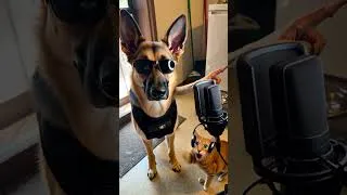 Thumbnail: Silk protects Mommy’s YouTube equipment!