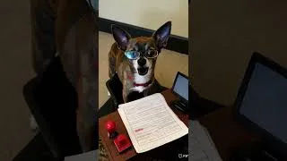 Thumbnail: Tina’s background check.