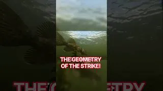 Thumbnail: Pike's Lightning Strike! #pikefishing