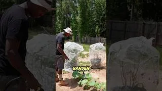 Thumbnail: Gardening be like…… #garden #gardening #shorts