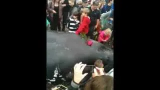 Thumbnail: Humpback whale dies on White Rock beach