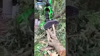 Thumbnail: Tree Trimmer Makes A Dangerous Job Look Completely Effortless #TreeTrimming #Arborist #Precision #Sk