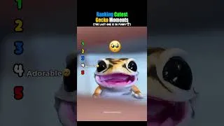 Thumbnail: Ranking Cutest Gecko Moments