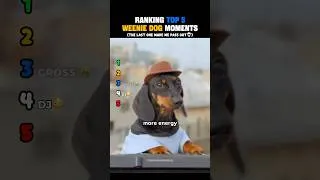 Thumbnail: Ranking Top 6 Weenie Dog Moments