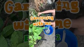 Thumbnail: Gardeni ng with me // Episode 2