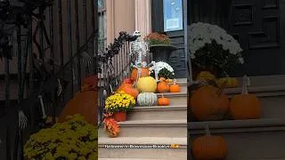 Thumbnail: Halloween in Brownstone Brooklyn 🧡🎃 #halloween2023 #brooklynny #newyorkcity