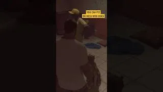 Thumbnail: These Features Will Work With Dog COMPANION #Shorts #gta #gta6 #gtavi