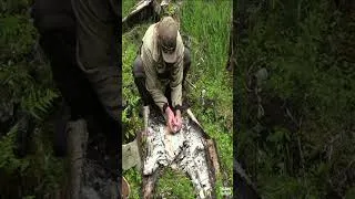 Thumbnail: FIRE HACK to SAVE your LIFE - Fire with a Dead Lighter - #shorts