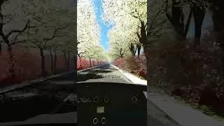 Thumbnail: Cherry Blossom Road Drive