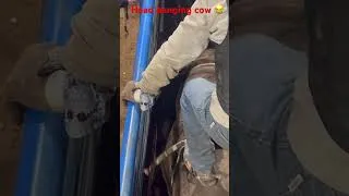 Thumbnail: I’ve never seen a bull do that 😂