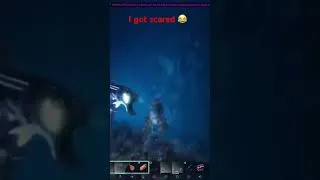 Thumbnail: That fish came out of the stone wall and scared me