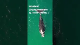 Thumbnail: AWAKENING #lookclosely #originalpianocomposition #newshorts #viral #2023shorts #newvideo