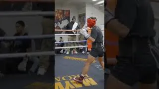 Thumbnail: 🔥 Stephen A. Smith DROPS BOMBSHELL On Floyd Mayweather’s Controversial Connections!