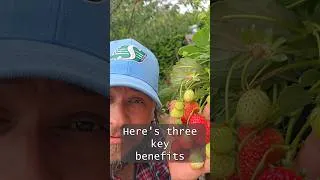 Thumbnail: 3 Benefits Of Growing In Pots and Containers #shorts #gardening