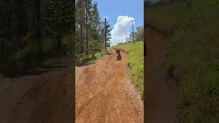 Thumbnail: Hill Descent