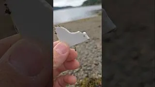Thumbnail: Treasures from the beach