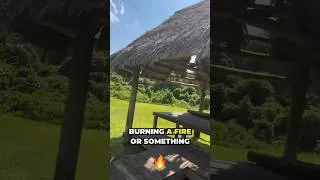 Thumbnail: Soaring through the Everglades on an airboat ride was epic 🚣‍♀️🐊