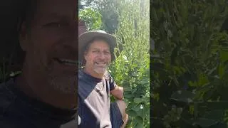 Thumbnail: Learn How to Grow Food & Tend a Vegetable Garden