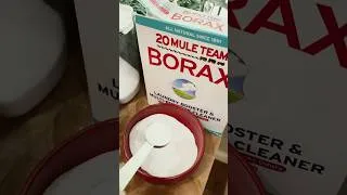 Thumbnail: Got Ants? - DIY Garden Ant Killer Borax Bait (Full Recipe) #garden