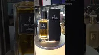 Thumbnail: YSL Babycat Raw Bourbon First Impressions | Worth The Hype?