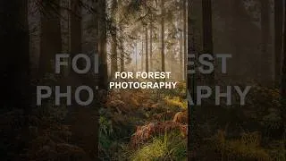 Thumbnail: Top 3 tips to get next level forest photography from Lee Cooper! 🌲  📷