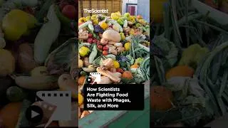 Thumbnail: How Scientists Are Fighting Food Waste with Phages, Silk, and More
