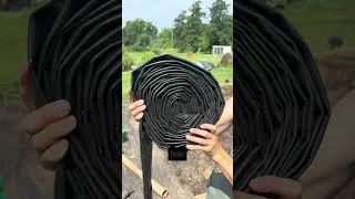 Thumbnail: How I keep bugs 🐛 off my plants