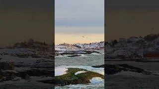 Thumbnail: Norway is Paradise 🇳🇴 #travel #lofoten