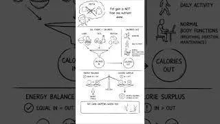 Thumbnail: Why Everyone's Wrong About Carbs and Fat #fitnesstruth #calories