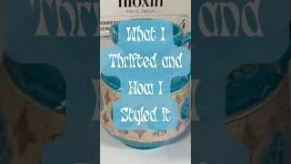 Thumbnail: YOU WON'T BELIEVE WHAT I FOUND IN A THRIFT STORE!