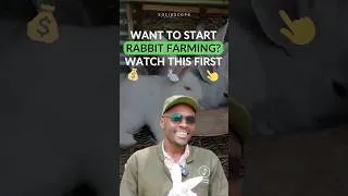 Thumbnail: Should You Start Rabbit Farming in Kenya? 🤔 #RabbitFarming #Agriculture